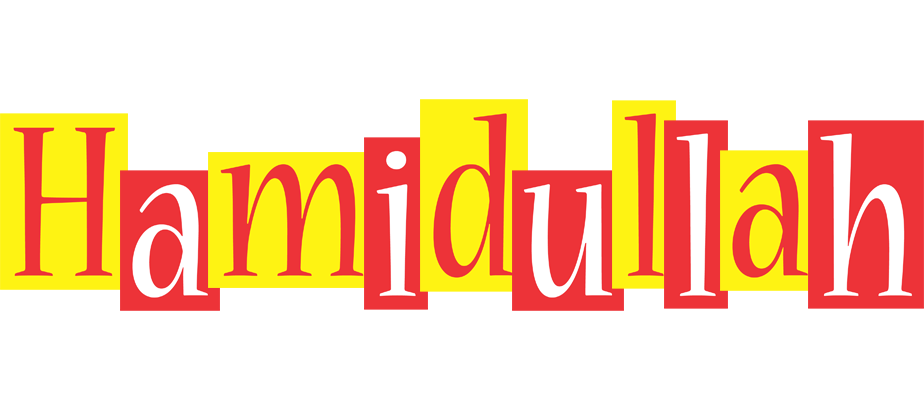 Hamidullah errors logo