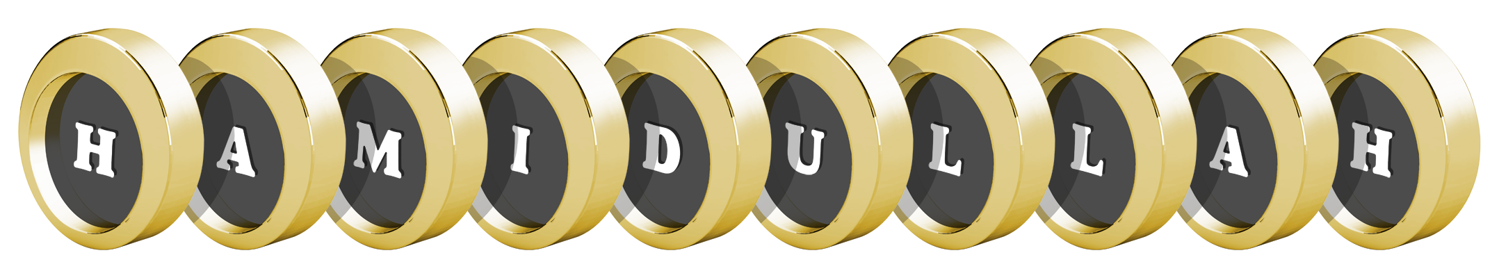 Hamidullah gold logo