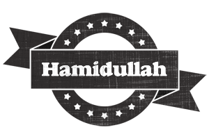 Hamidullah grunge logo