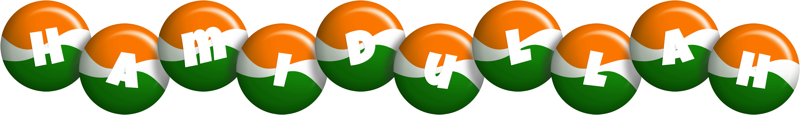 Hamidullah india logo