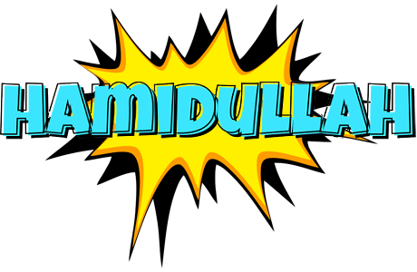 Hamidullah indycar logo