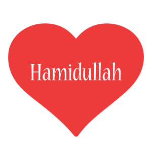 Hamidullah love logo