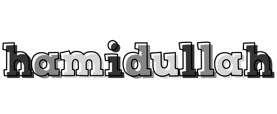 Hamidullah night logo