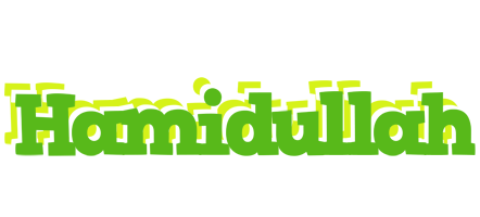 Hamidullah picnic logo