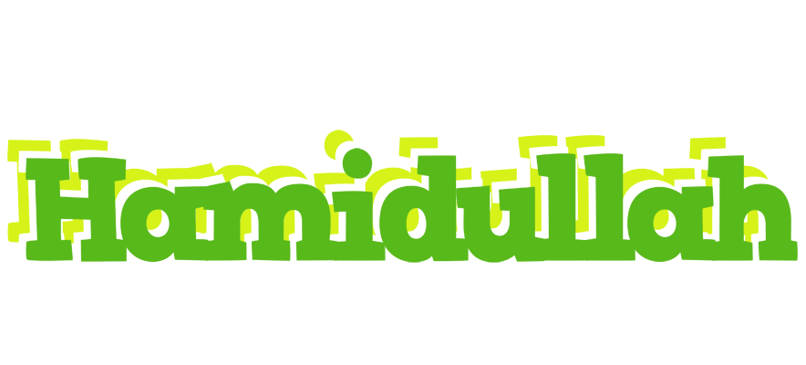 Hamidullah picnic logo