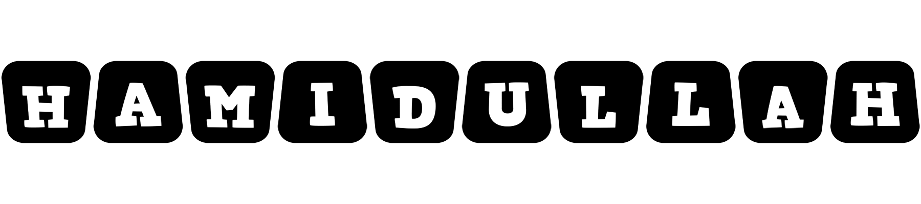 Hamidullah racing logo