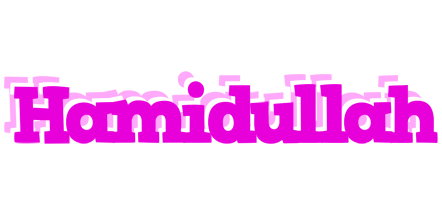 Hamidullah rumba logo