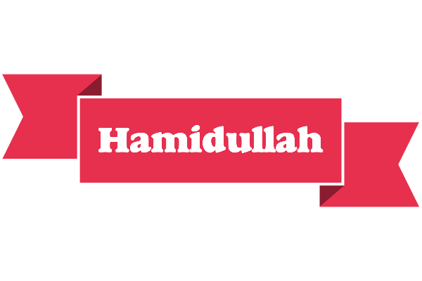 Hamidullah sale logo