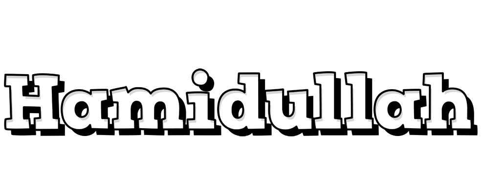 Hamidullah snowing logo