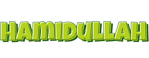 Hamidullah summer logo