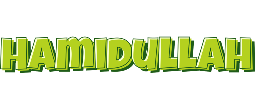 Hamidullah summer logo