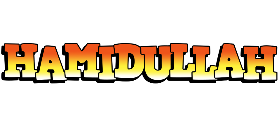 Hamidullah sunset logo
