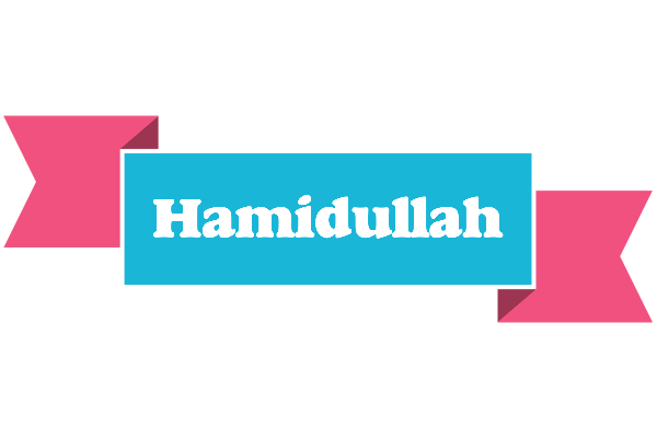Hamidullah today logo