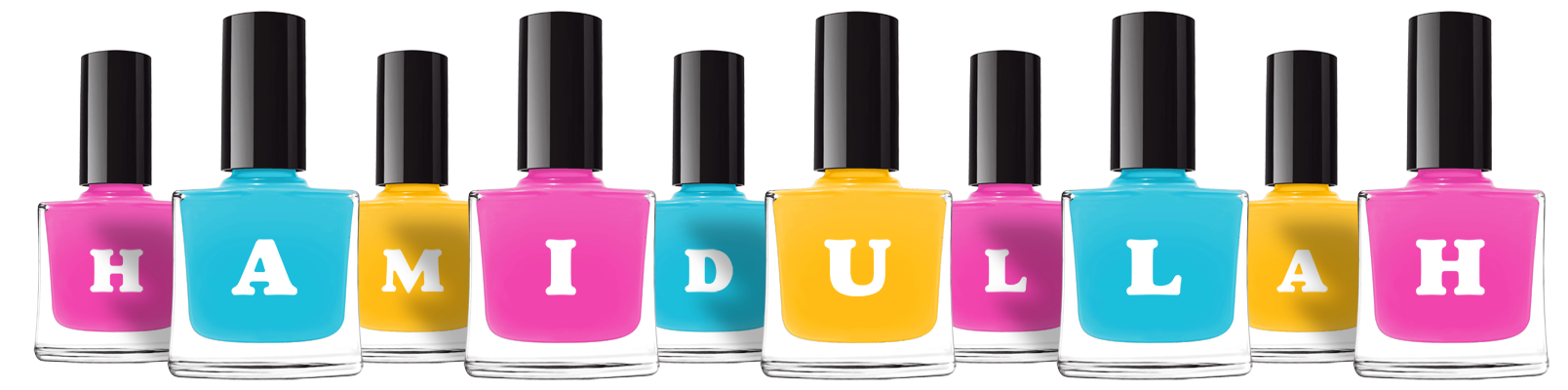 Hamidullah variety logo