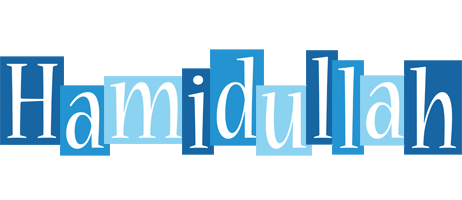 Hamidullah winter logo