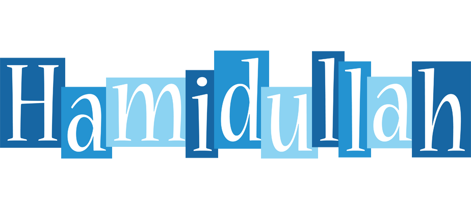 Hamidullah winter logo