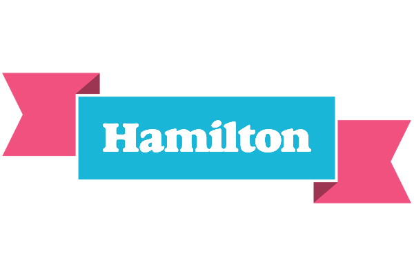 Hamilton today logo