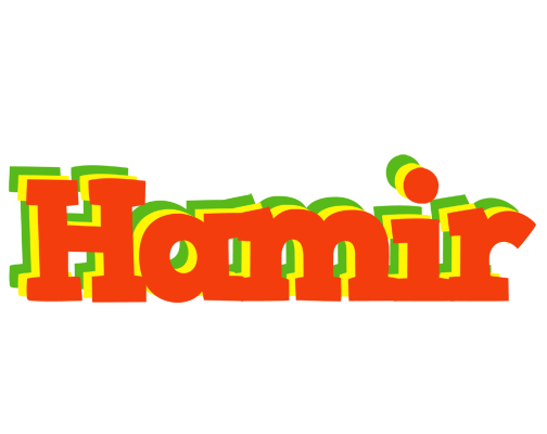 Hamir bbq logo