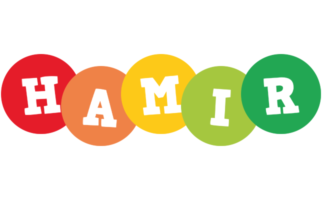 Hamir boogie logo