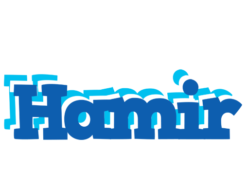 Hamir business logo