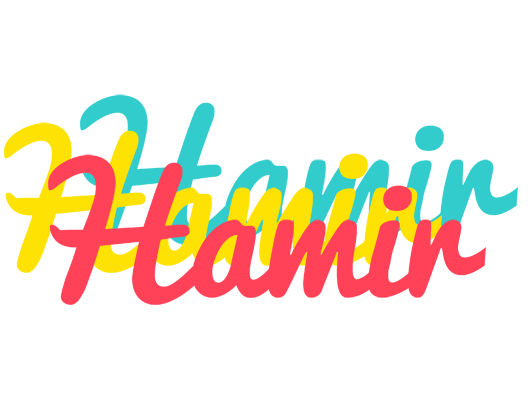 Hamir disco logo