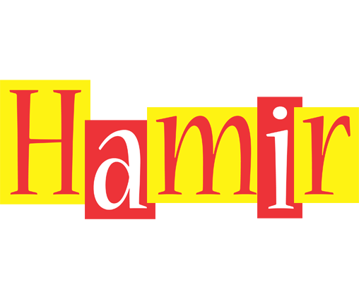 Hamir errors logo