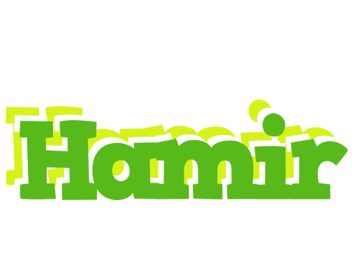 Hamir picnic logo