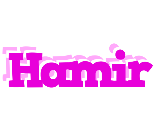 Hamir rumba logo