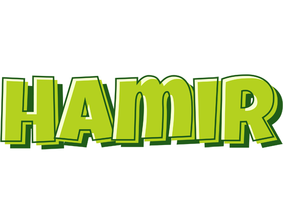 Hamir summer logo