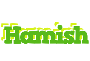 Hamish picnic logo