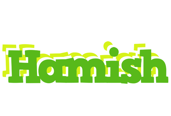Hamish picnic logo