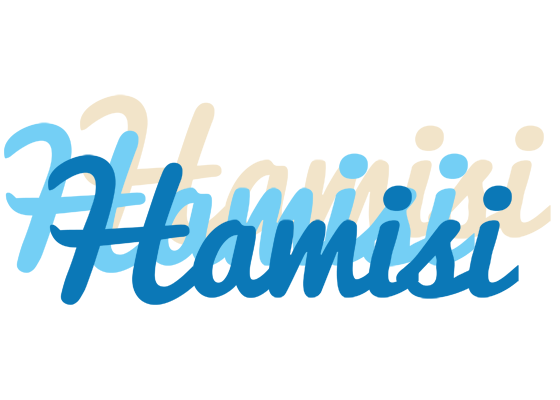 Hamisi breeze logo