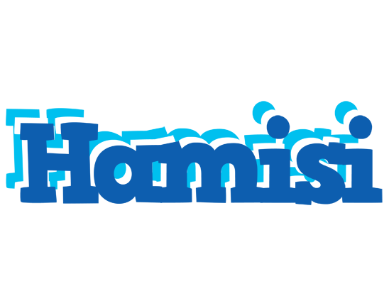 Hamisi business logo
