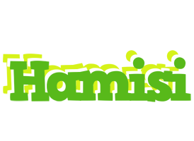 Hamisi picnic logo