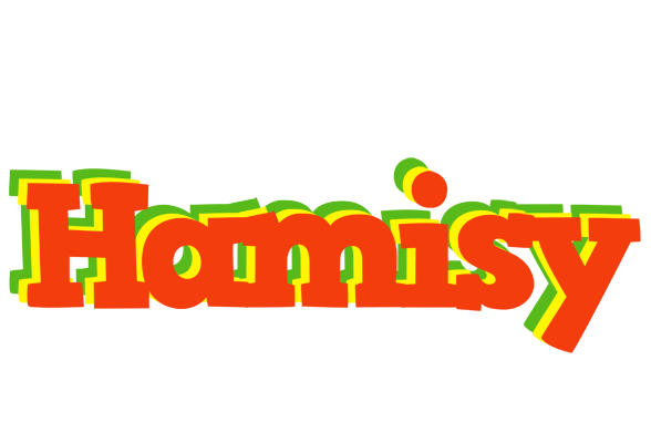 Hamisy bbq logo