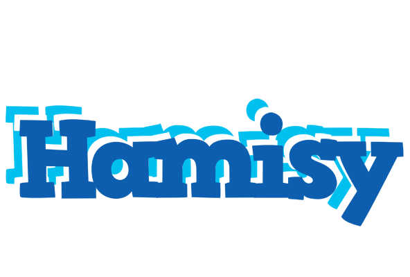 Hamisy business logo