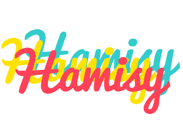 Hamisy disco logo