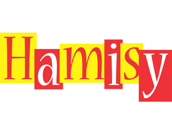 Hamisy errors logo