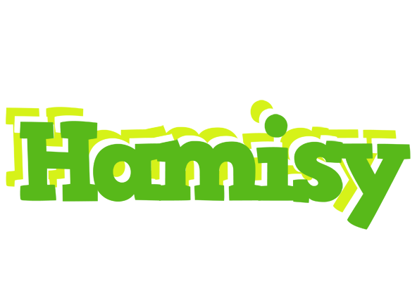 Hamisy picnic logo