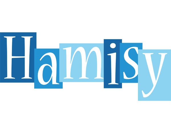 Hamisy winter logo