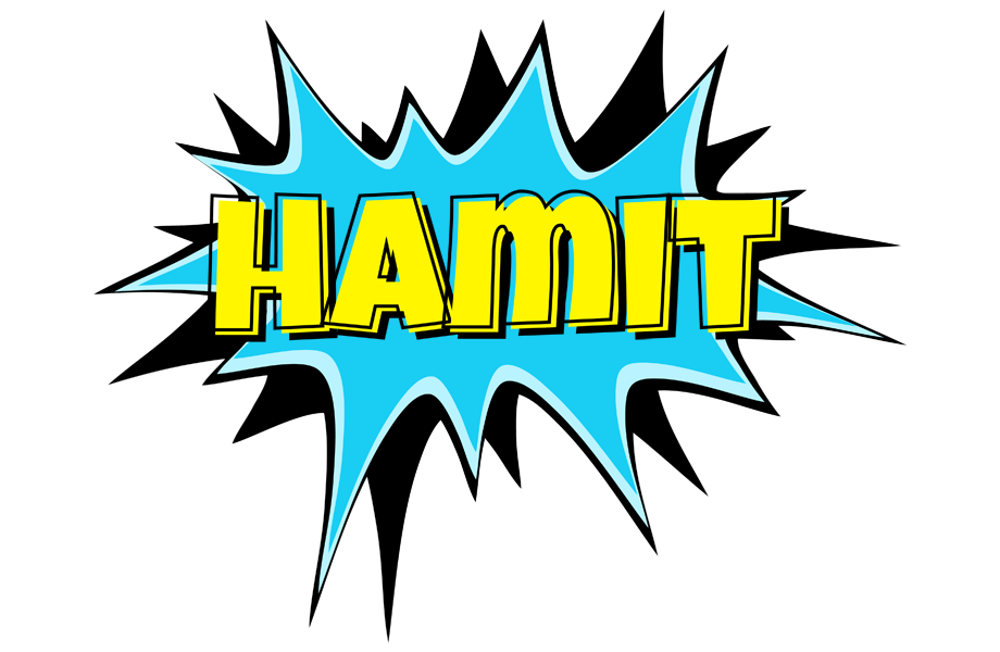 Hamit amazing logo