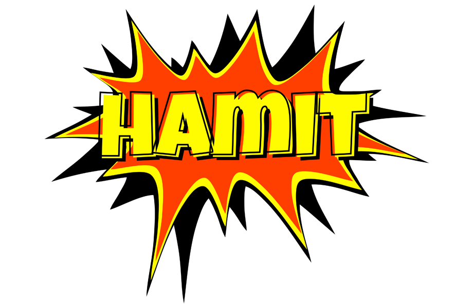 Hamit bazinga logo