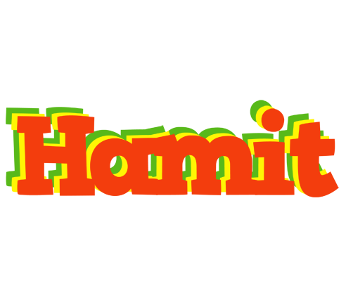 Hamit bbq logo