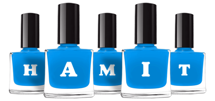 Hamit glossy logo