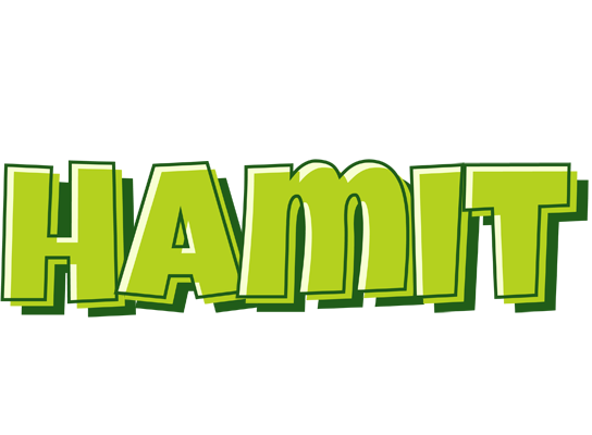 Hamit summer logo