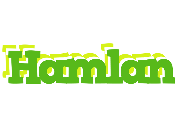 Hamlan picnic logo