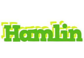 Hamlin picnic logo