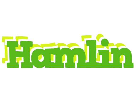 Hamlin picnic logo