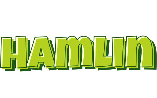 Hamlin summer logo