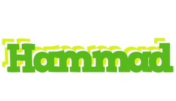 Hammad picnic logo